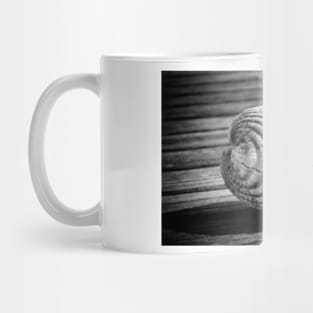 Sea shell on wood Mug